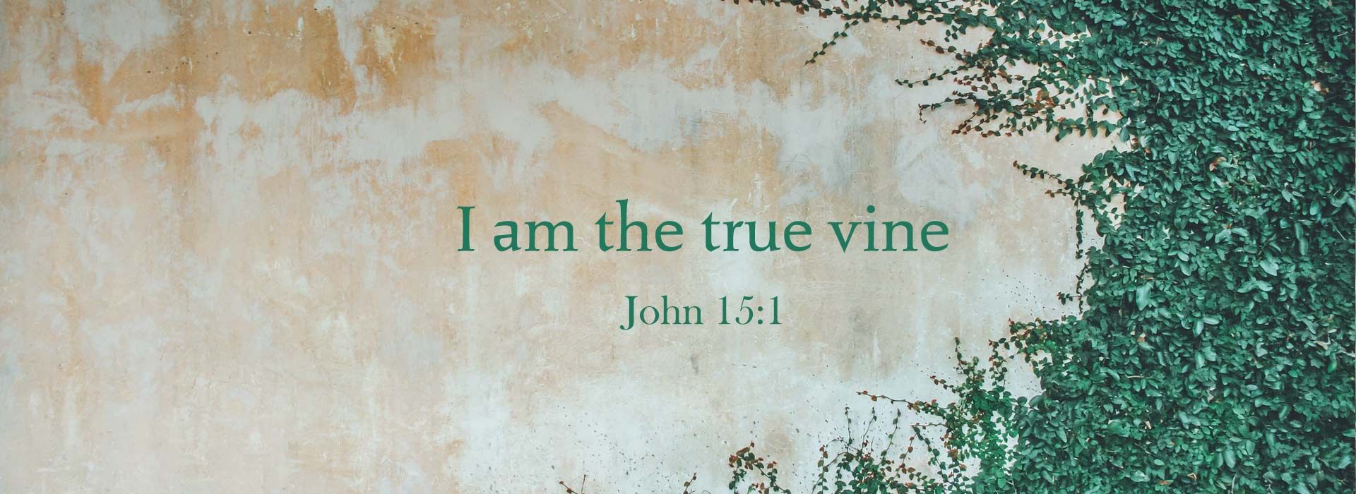 FIFTH SUNDAY OF EASTER