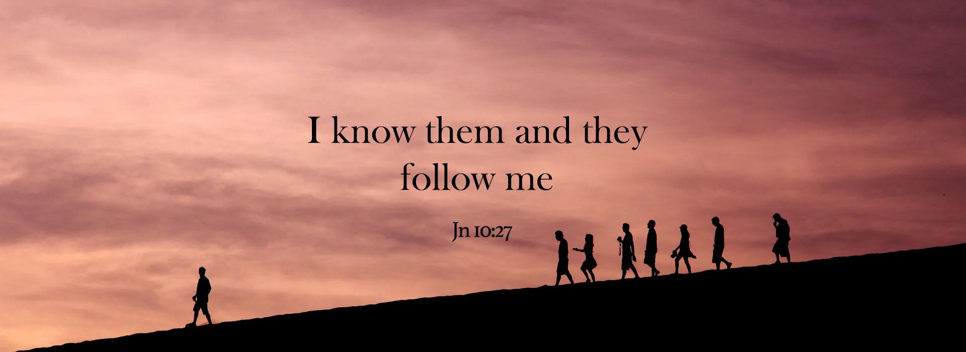 SIXTEENTH SUNDAY IN ORDINARY TIME