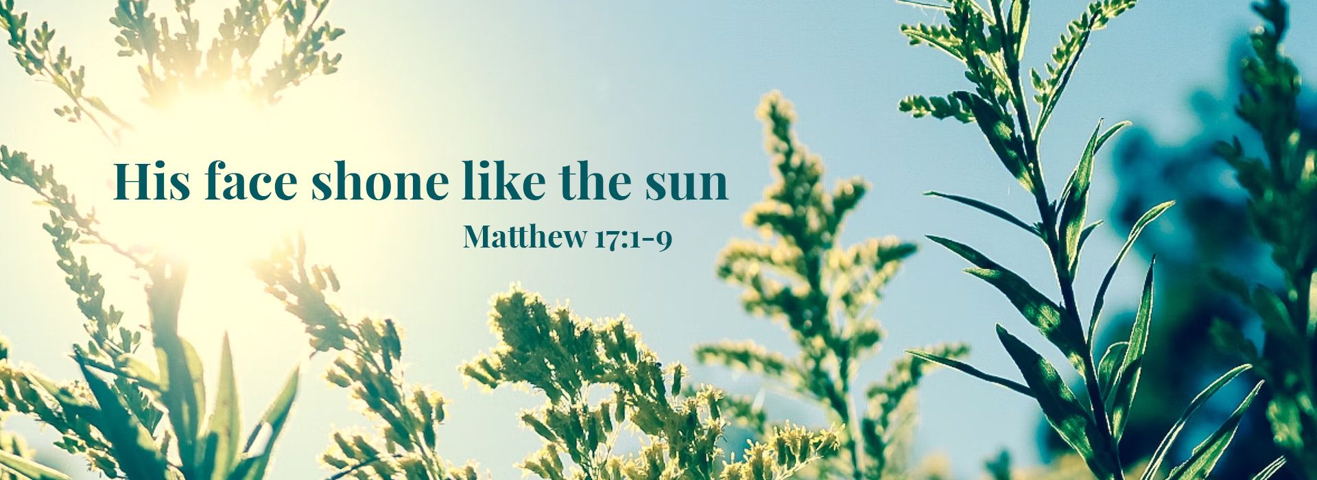 EIGHTEENTH SUNDAY IN ORDINARY TIME