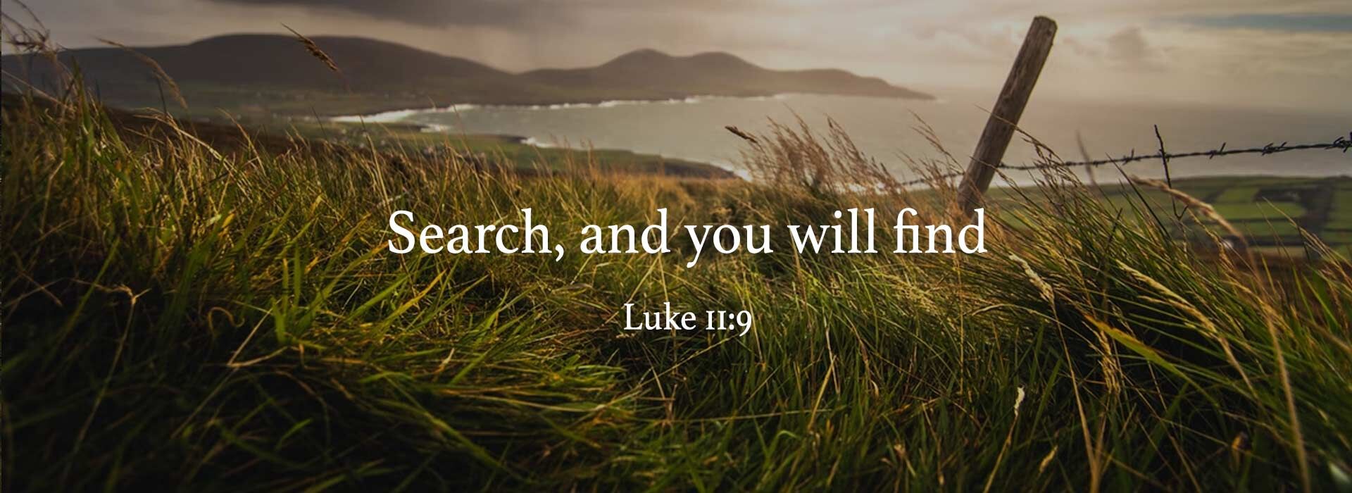 SEVENTEENTH SUNDAY IN ORDINARY TIME