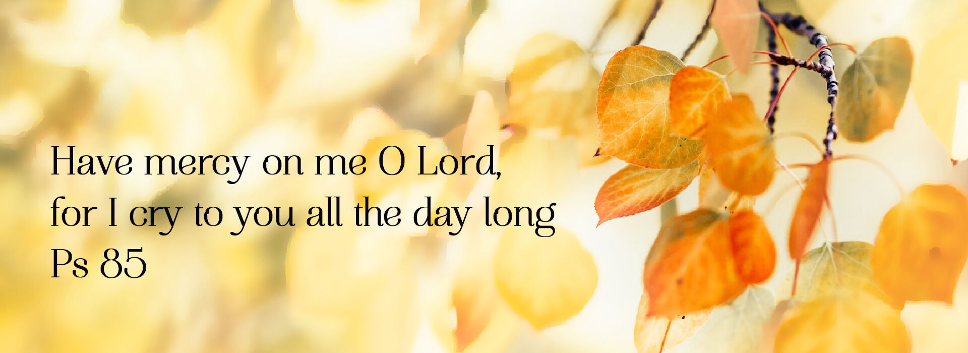 TWENTY SECOND SUNDAY IN ORDINARY TIME