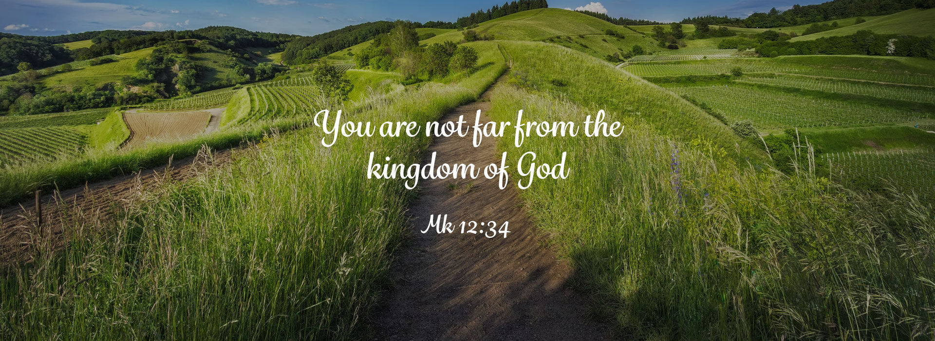 ALL SAINTS /THIRTY FIRST SUNDAY IN ORDINARY TIME