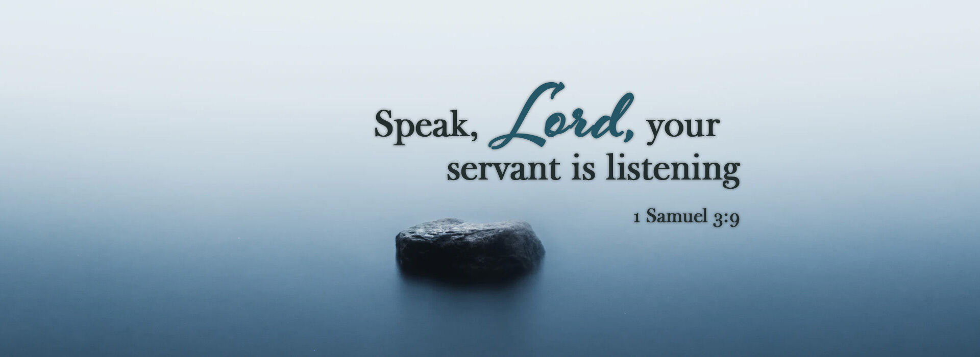 TWENTY SEVENTH SUNDAY IN ORDINARY TIME